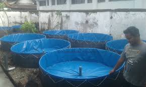 Pin Di Toko Jual Kolam Terpal