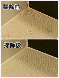 お風呂の床についた 黒ずみ 黄ばみ 赤ピンク色 茶色 の汚れ カビ 水垢を10分で綺麗に掃除しました 重曹 クエン酸 歯ブラシを使った掃除方法を紹介 浴室の掃除 家のお掃除 風呂 鏡 掃除