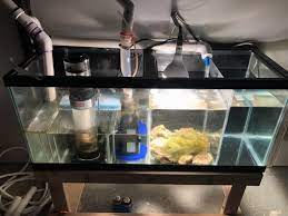 Silakan klik diy custom aquarium sump filter | how to build aquarium sump for under 100$ untuk melihat artikel selengkapnya. Is My Diy 75g Sump Designed Right Reef2reef Saltwater And Reef Aquarium Forum