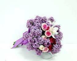 Purple poze de fundal aesthetic mov. Liliac Pictures