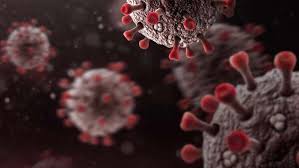 Coronavirus counter with new cases, deaths, and number of tests per 1 million population. Covid 19 And Food Security International Milling Directory