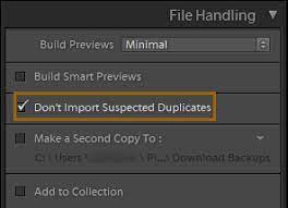 Import is glacial slow, worse than lr6 ever was. How To Specify Import Options In Lightroom Classic