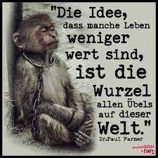 Tier Affe Leben Wurzel Welt Spruch Tierschutz Veganquotes Tier Affe Leben Wurzel Welt Spruch Tierschutz In 2020 Spruche Tierschutz Wurzel