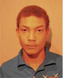 ᐅ Illinois Criminal Records 2009-2025