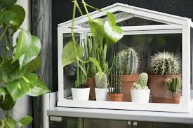 Binnenbuiten Kweekkas Socker Witsocker Kweekkas Binnen Buiten Wit Ikea Gewachshaus Zimmerpflanzen Gewachshaus