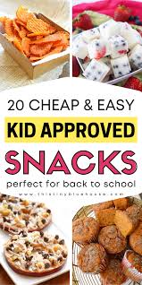 Now you know that junk. 20 Must Try Cheap Healthy Snack Options For Kids This Tiny Blue House