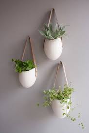 design おしゃれまとめの人気アイデア pinterest kristina pakaski 吊り下げ多肉植物 壁掛け グリーン 植物の壁