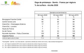 Il existe deux écoles pour la pousse du gazon. Semis Des Orges De Printemps Attention Aux Limaces De Sangosse