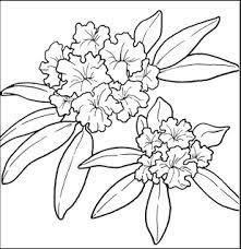 Dibujos De Flores Para Imprimir Y Colorear Lamina De Flores Para Flower Coloring Pages Flower Drawing Coloring Pages