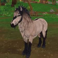 Over 15.000 total users already used our tool. 300 Star Stable Ideen In 2021 Sso Pferde Pferde Star Stable