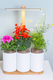 Jardin D Interieur Lilo Faire Pousser Des Fleurs Jardin Interieur Potager