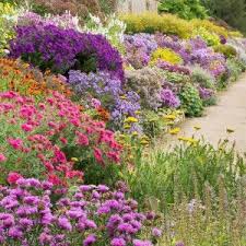 Les plantes annuelles amoureuses du soleil. Massif De Vivaces Plein Soleil En Bordure Fleurs Vivaces Plein Soleil Jardin En Plein Soleil Jardins De Vivaces