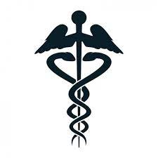 الأفعى الطبية رمز الصحة الأفاعي الطبية الأجنحة عصا برغم نظام الدواء أيضا الرعاية الصحية بنت الفكر الرمز الطبي ايقونة مساعدة سياره اسعاف زر png وال health symbol health icon medical symbols