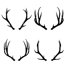Antlers Drawing Google Search Antler Art Drawing Antler Drawing Deer Drawing