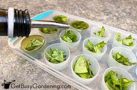 Allow the basil to cool completely, crumble, and store in an airtight container for up to a year. Storing Fresh Basil Leaves Best Ways To Preserve