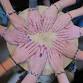 Crystal craft morning for women - make a bracelet event image