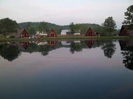 Maybe you would like to learn more about one of these? Mohican Adventures Campground Cabins Updated 2021 Reviews Loudonville Oh Tripadvisor