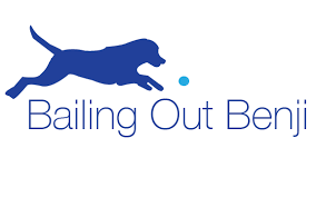 If you do need your puppy shipped we do offer to ship every friday for an additional 350 to your nearest airport! Rhode Island Pet Store Puppy Mill Connection Bailing Out Benji