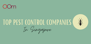 Are you dealing with pesky cockroaches in your home or at the best way to get rid of the pests is to engage the services of a trusted cockroach exterminator in. Top Pest Control Companies In Singapore Singapore Pest Control Review