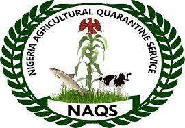 NAQS Recruitment 2024 Application Form & Requirements | How To Apply