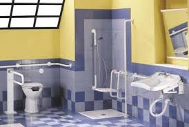 Qualcuno mi aveva paventato l'idea di inserirle nelle spese sanitarie per portatori di handicap di cui al rigo e3. Bagni Per Disabili Cosa Sapere Blog Edilnet