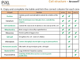 What is an animal cell. The Pi Xl Club The Pi Xl Club