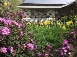 Pin On Butteryflygrove