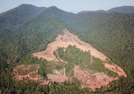The perak state legislative assembly (malay: Mb Inc Warns Action Against Those Behind Illegal Land Clearing At Kledang Hill The Star