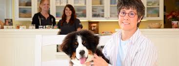 448 likes · 117 were here. Gabriel Park Veterinary Clinic Veterinary Clinic In Portland Or