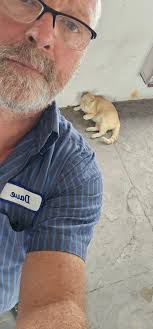 Sangamon County Lost Pets