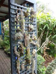 The product is 100% recyclable and made in california josh. Pin On Tillandsia