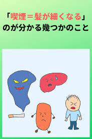 喫煙 髪が細くなる のが分かる幾つかのこと 髪 太く 頭皮 悩み 解決
