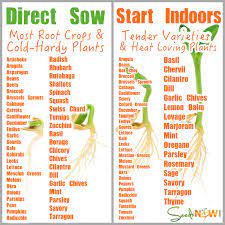 Start seeds indoors 6 to 4 weeks before the last frost in spring or 12 to 10 weeks before the first frost in autumn for a fall or winter crop. How Do I Know Which Seeds To Direct Sow And Which To Seeds To Start In Seedsnow Com