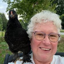 Hats for 23 inch porch goose?