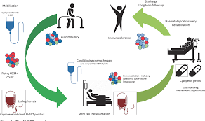 Below are consolidated reports on three prominent ahsct studies. Pdf Autologous Hematopoietic Stem Cell Transplant For Autoimmune Diseases Evolution Evidence Of Efficacy And Real World Economics Semantic Scholar
