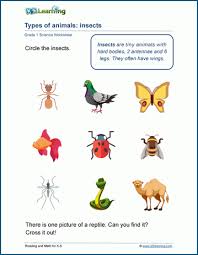 Q.1 worksheet class 5 animal classification. Grade 1 Animals Worksheets K5 Learning