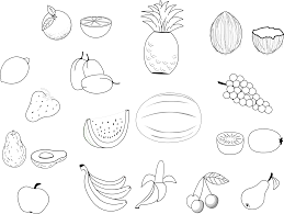Free Printable Fruit Coloring Pages For Kids Fruit Coloring Pages Apple Coloring Pages Food Coloring Pages
