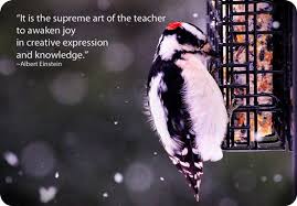 Symbolic Meaning Of Woodpecker Animal Totems Animal Spirit Guides Animal Medicine