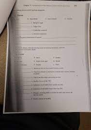 Check spelling or type a new query. 134 The Nervous System Crossword Puzzle Across Down Chegg Com