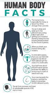 Discover Facts About The Human Body Healthybody Human Facts Human Body Facts Healthy Body Health And Wellness Quotes