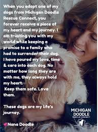Michigan Doodle Rescue Connect
