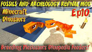 Like almost all other mobs in the mod, they do not spawn naturally in the world and must be created by the player through the culture vat. Fossils And Archeology Revival Mod Minecraft Jurassic World Ep10 Breeding Baby Plesiosaurs Dinopedia Youtube