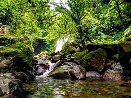 Usaha pemindahan ini dilakukan oleh direktorat perlindungan dan pembinaan peninggalan sejarah dan purbakala, departemen pendidikan dan kebudayaan. Curug Ciampea Wisata Air Terjun Di Bogor Yang Instagramable Banget