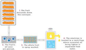 A Comprehensive Guide To Essential Oil Extraction Methods