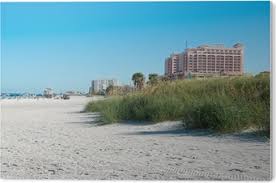 Amerika bilder strand / ayavelleman best friend fotos sommer strand outfit fotoshooting noen bilder er brukt i boka soga um strand som utkom i 1938. Fototapete Sonne Strand In Clearwater Von Tampa Florida Amerika Pixers Wir Leben Um Zu Verandern