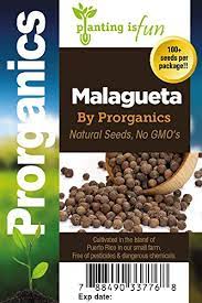 Check spelling or type a new query. 100 Organic Sweet Pepper Malagueta Pepper Seeds By Prorganics Amazon Com Grocery Gourmet Food