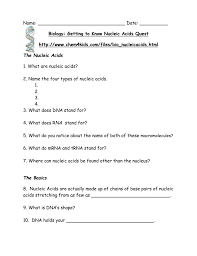 Nucleic acids dna the double helix worksheet answers kidz activities inside nucleic acids. The Nucleic Acids