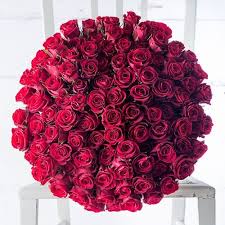 Check spelling or type a new query. Znalezione Obrazy Dla Zapytania Birthday Wishes With Gif 100 Red Roses Anniversary Flowers Red Roses