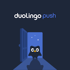4.2 out of 5 stars 24. Duolingo Push