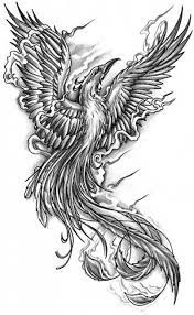Phoenix artwork phoenix drawing phoenix images bird drawings animal drawings dragon koi tattoo design phoenix costume. Tattoo Designs Phoenix 01 Hairstyles Twine Phoenix Bird Tattoos Bird Tattoo Men Tattoo Stencils